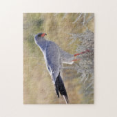 Falcons van Namibië. Legpuzzel (Verticaal)