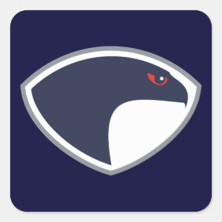 Falcons Vierkante Sticker