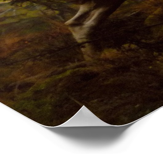 Falgers Edge Poster (Hoek)