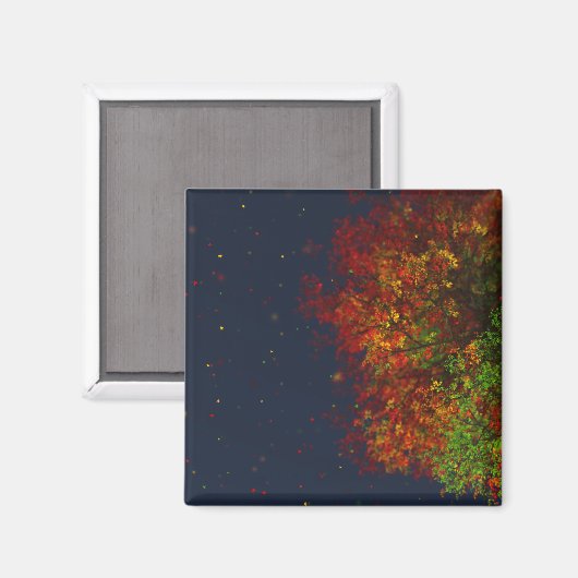 Faling Rainbow Magnet (Voorkant / Achterkant)