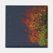 Faling Rainbow Magnet (Voorkant)
