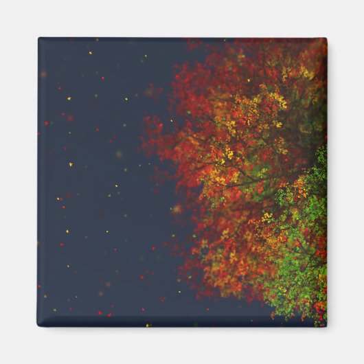 Faling Rainbow Magnet (Voorkant)