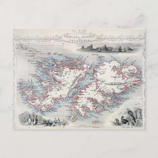 Falklandeilanden en Patagonië, uit een reeks W Briefkaart (Voorkant)