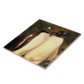 Falklandeilanden. Ezelspinguïns.  (Pyroscelis Tegeltje (Zijkant)