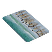 Falklandeilanden. Het eiland Saunders. Gentoo Magneet (Rechterzijde)