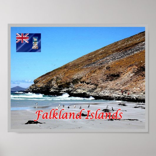 Falklandeilanden - poster (Voorkant)