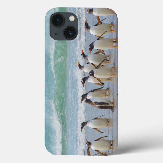 Falklandeilanden. Saunders Island. Gentoo Case-Mate iPhone Case (Achterkant)