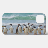 Falklandeilanden. Saunders Island. Gentoo Case-Mate iPhone Case (Achterkant (horizontaal))