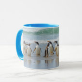 Falklandeilanden. Saunders Island. Gentoo Mok (Voorkant links)