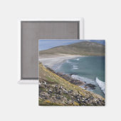 Falklandeilanden, West Falkland, Saunders Magneet (Voorkant / Achterkant)