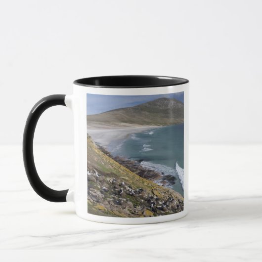 Falklandeilanden, West Falkland, Saunders Mok (Links)