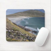 Falklandeilanden, West Falkland, Saunders Muismat (Met muis)