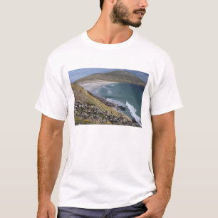 Falklandeilanden, West Falkland, Saunders T-shirt