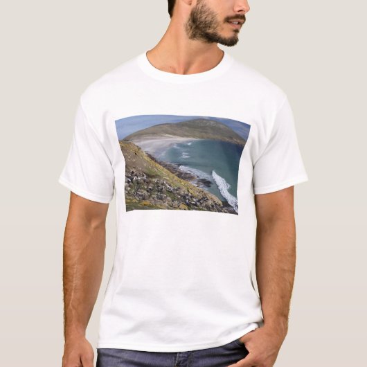 Falklandeilanden, West Falkland, Saunders T-shirt (Voorkant)