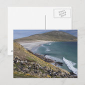 Falklandeilanden, West-Falklandeilanden, Saunders Briefkaart (Voorkant / Achterkant)