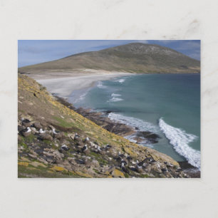 Falklandeilanden, West-Falklandeilanden, Saunders Briefkaart