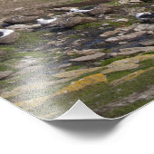 Falklandeilanden, West-Falklandeilanden, Saunders Foto Afdruk (Hoek)