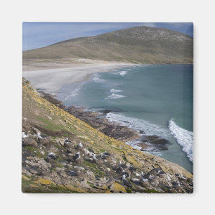 Falklandeilanden, West-Falklandeilanden, Saunders Magneet