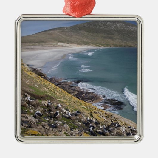 Falklandeilanden, West-Falklandeilanden, Saunders Metalen Ornament (Voorkant)
