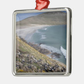 Falklandeilanden, West-Falklandeilanden, Saunders Metalen Ornament (Links)