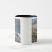 Falklandeilanden, West-Falklandeilanden, Saunders Mok (Midden)