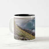 Falklandeilanden, West-Falklandeilanden, Saunders Tweekleurige Koffiemok (Voorkant links)