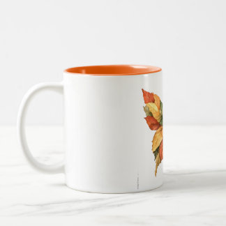 Fall Coffee Mugs Tweekleurige Koffiemok