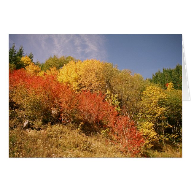 Fall Colors at Mt. Hood (Voorkant Horizontaal)