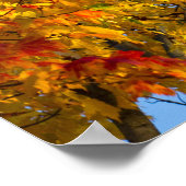 Fall Colors, Blue Sky, Ohio Poster (Hoek)