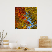 Fall Colors, Blue Sky, Ohio Poster (Keuken)