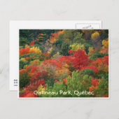 Fall Colors Briefkaart (Voorkant / Achterkant)