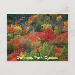 Fall Colors Briefkaart