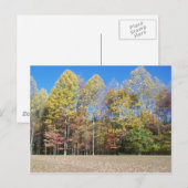 Fall Colors Briefkaart (Voorkant / Achterkant)