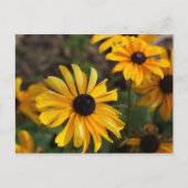 Fall Colors Briefkaart (Voorkant)