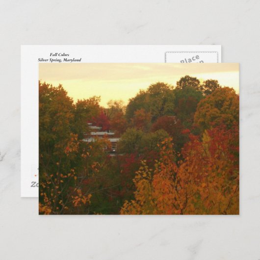 Fall Colors Briefkaart (Voorkant / Achterkant)