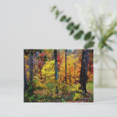 FALL COLORS BRIEFKAART (Staand voorkant)