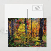 FALL COLORS BRIEFKAART (Voorkant / Achterkant)