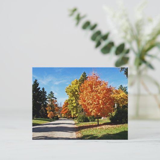 Fall Colors in Cincinnati Briefkaart (Staand voorkant)