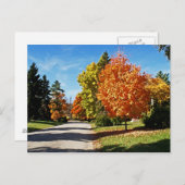 Fall Colors in Cincinnati Briefkaart (Voorkant / Achterkant)