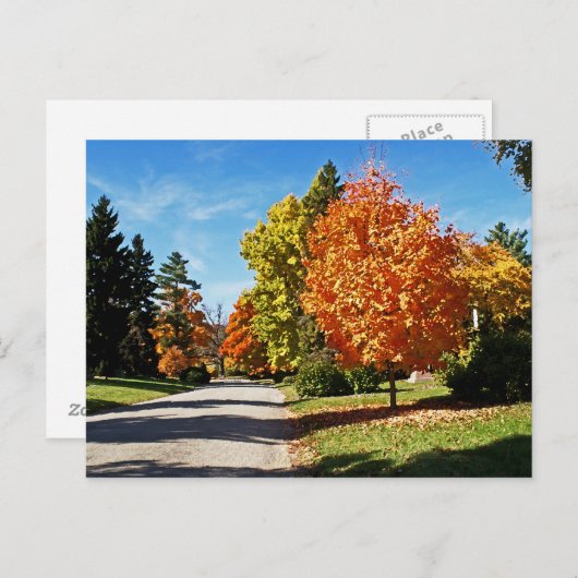 Fall Colors in Cincinnati Briefkaart (Voorkant / Achterkant)