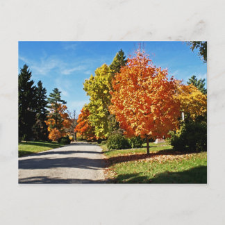 Fall Colors in Cincinnati Briefkaart