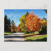 Fall Colors in Cincinnati Briefkaart (Voorkant)
