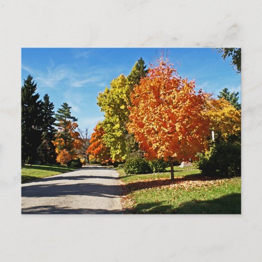 Fall Colors in Cincinnati Briefkaart (Voorkant)