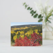 Fall Colors in Rockies Postcard Briefkaart (Staand voorkant)