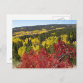 Fall Colors in Rockies Postcard Briefkaart (Voorkant / Achterkant)
