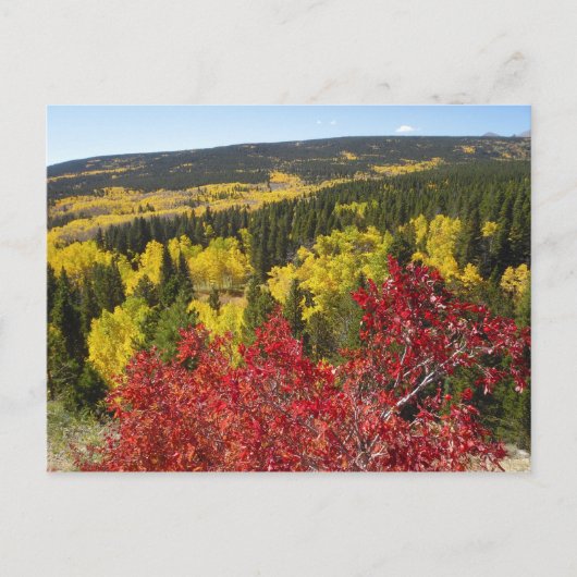 Fall Colors in Rockies Postcard Briefkaart (Voorkant)