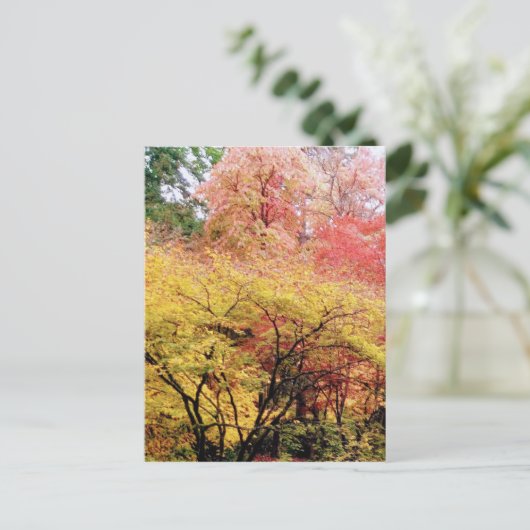 Fall Colors in Seattle Briefkaart (Staand voorkant)