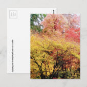 Fall Colors in Seattle Briefkaart (Voorkant / Achterkant)