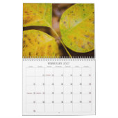 Fall Colors Kalender (Feb 2027)