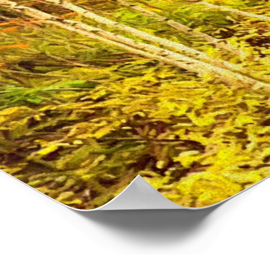 Fall Colors Maine Poster (Hoek)